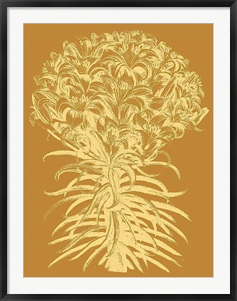 Framed Lilies 20 Print