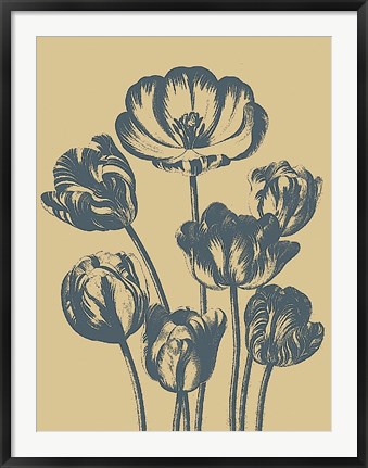 Framed Tulip 1 Print