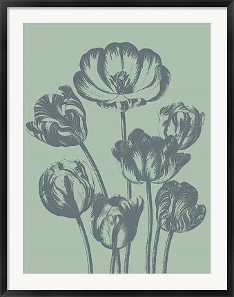 Framed Tulip 8 Print