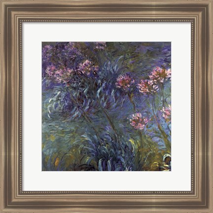 Framed Jewelry lilies Print