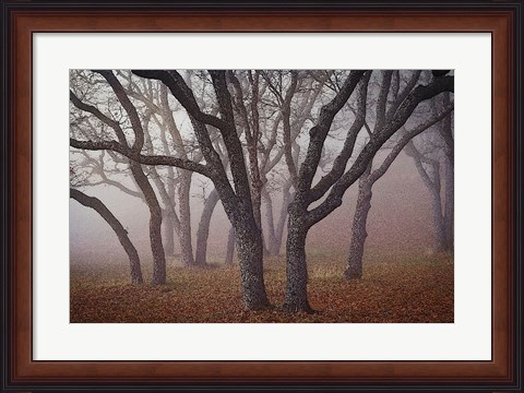 Framed Pilot Road Trees Print