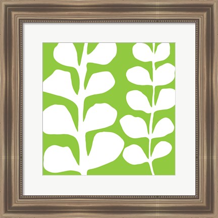 Framed White Fern on Green Print