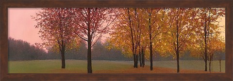 Framed Autumn Dawn, Maples Print