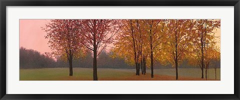 Framed Autumn Dawn, Maples Print