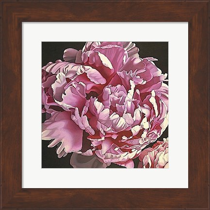 Framed Peony I Print