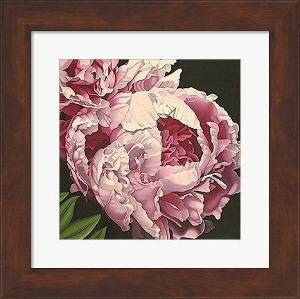 Framed Peony II Print