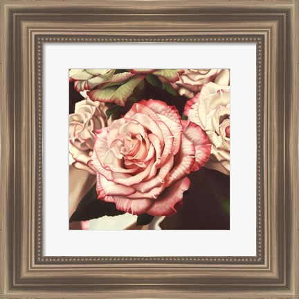 Framed Vintage Rose Print