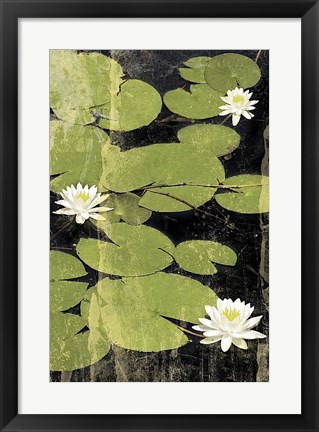 Framed Pond Blossoms Print