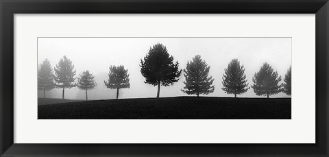 Framed Tree Line Print