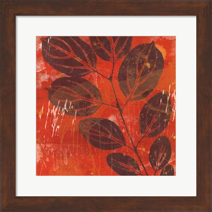 Framed Exotic Vine Print