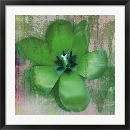 Framed Tulip Fresco (green) Print