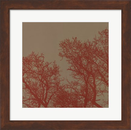 Framed Cinnamon Tree I Print