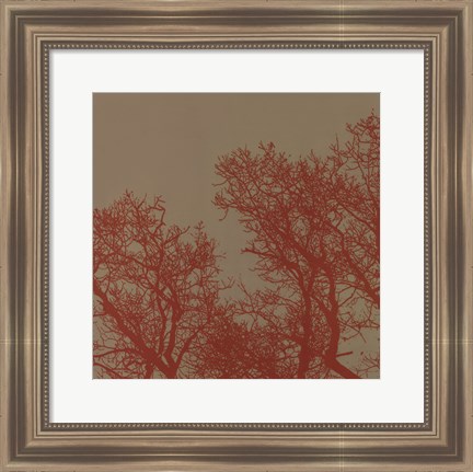 Framed Cinnamon Tree I Print