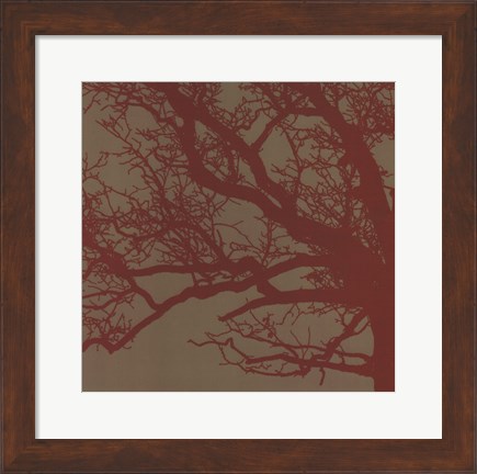 Framed Cinnamon Tree III Print