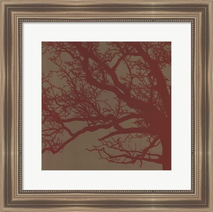 Framed Cinnamon Tree III Print