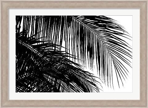 Framed Palms 3 Print