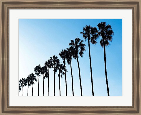 Framed La Jolla Palms Print