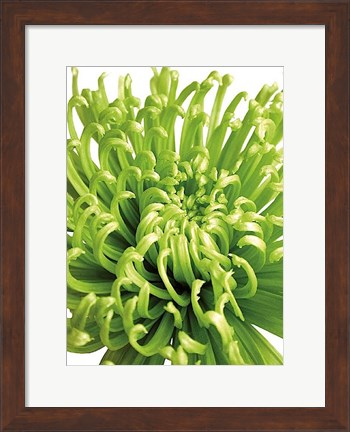 Framed Green Bloom 5 Print