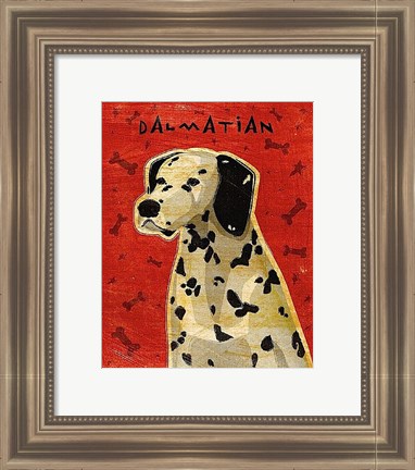 Framed Dalmation Print