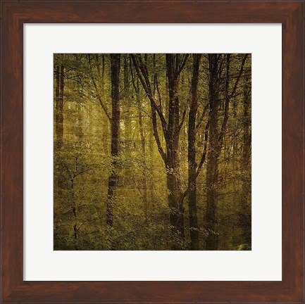 Framed Fog in Mountain Trees No. 2 Print