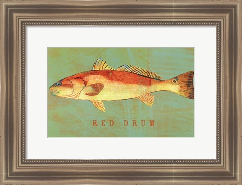 Framed Red Drum Print