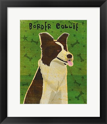 Framed Border Collie Print