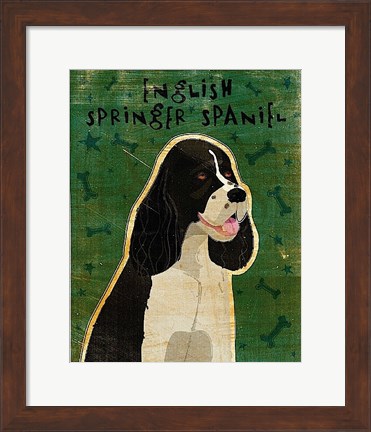 Framed English Springer Spaniel (black and white) Print