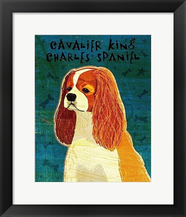 Framed Cavalier King Charles (Blenheim) Print