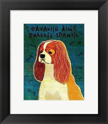 Framed Cavalier King Charles (Blenheim) Print