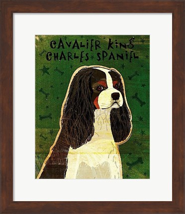 Framed Cavalier King Charles (tri-color) Print