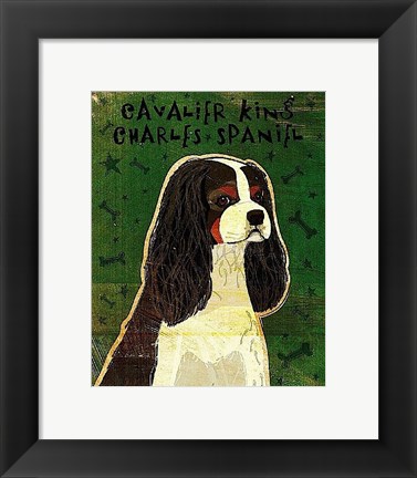 Framed Cavalier King Charles (tri-color) Print