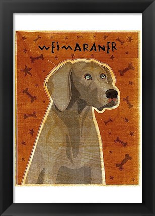 Framed Weimaraner Print