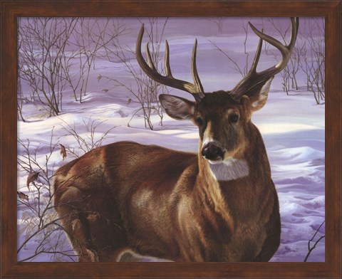 Framed Through My Window- Whitetail Deer Print