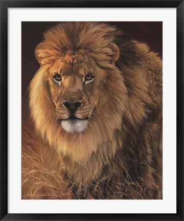 Framed Power and Presence- African Lion Print