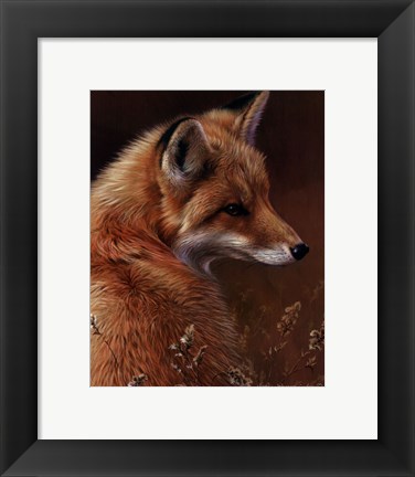 Framed Curious- Red Fox Print