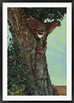 Framed On the Lookout Print