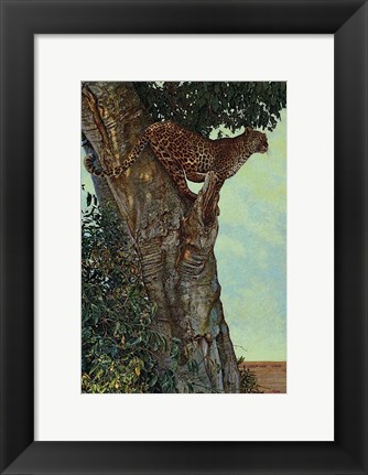 Framed On the Lookout Print