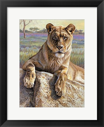 Framed Serengeti Lioness Print