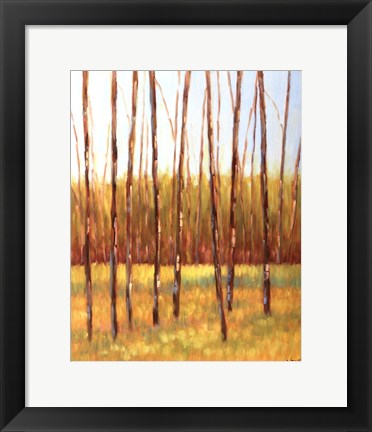 Framed Tall Trees I (left) Print