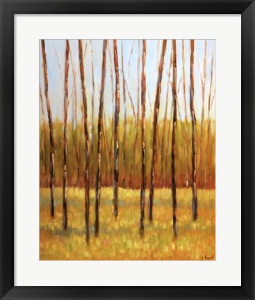 Framed Tall Trees II (right) Print