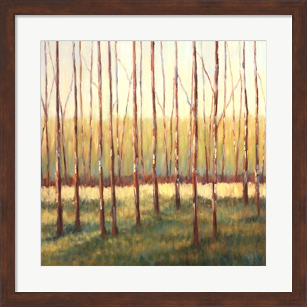 Framed Grove of Trees Print