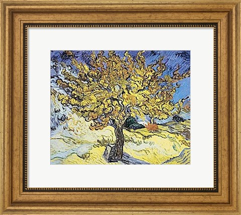 Framed Mulberry Tree, 1889 Print