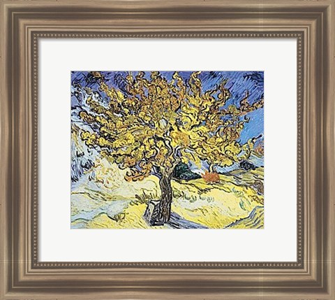 Framed Mulberry Tree, 1889 Print