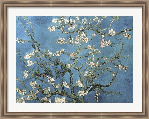 Framed Almond Blossom, 1890 Print