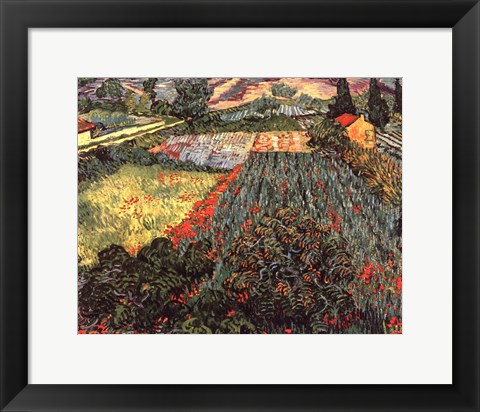 Framed Field of Poppies, Saint-Remy, c. 1889 Print