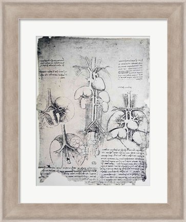 Framed Heart and the Circulation Print