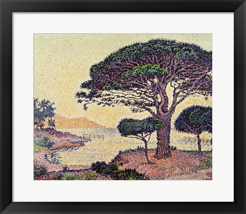 Framed Umbrella Pines at Caroubiers, 1898 Print