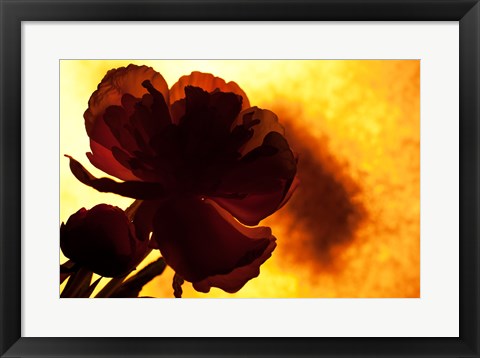 Framed Flower Print