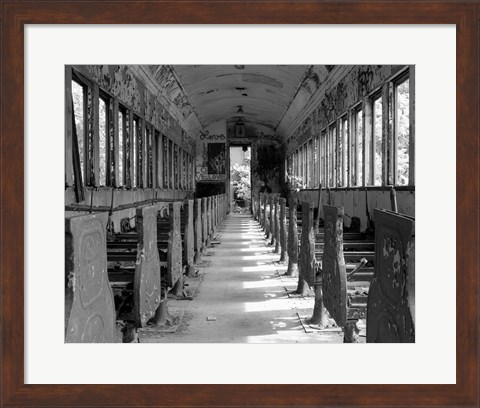 Framed Overgrowth Along The Line Print