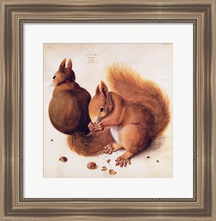 Framed Squirrels, 1512 Print